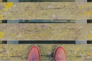 identificar las consecuencias