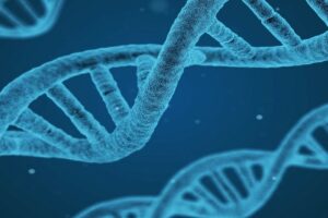 Flexibilidad laboral